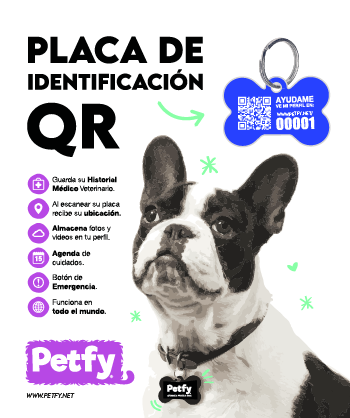 Placa Petfy ID Hueso Azul