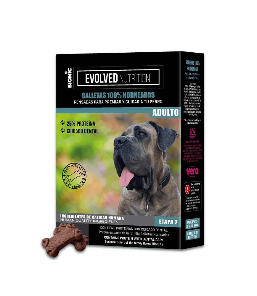 Galletas Perro Evolved Nutrition Adulto
