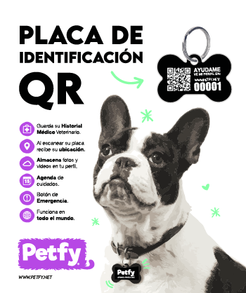 Placa Petfy ID Hueso Negro - Tienda Petfy