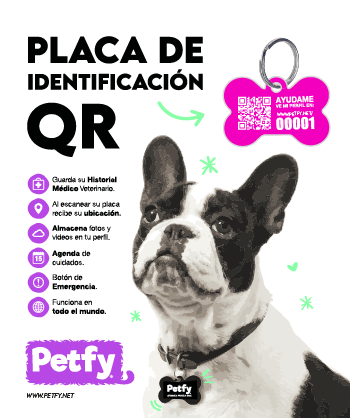 Placa Petfy ID Hueso Fucsia - Tienda Petfy