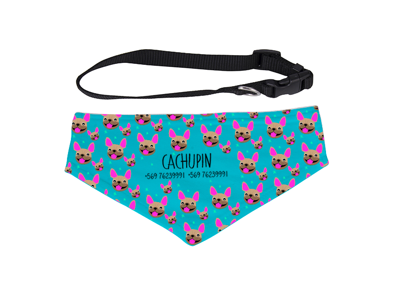 BANDANA__FRENCHIE_CAFE__CLESTE.png