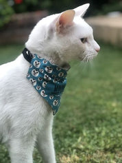 Bandanas PetLover