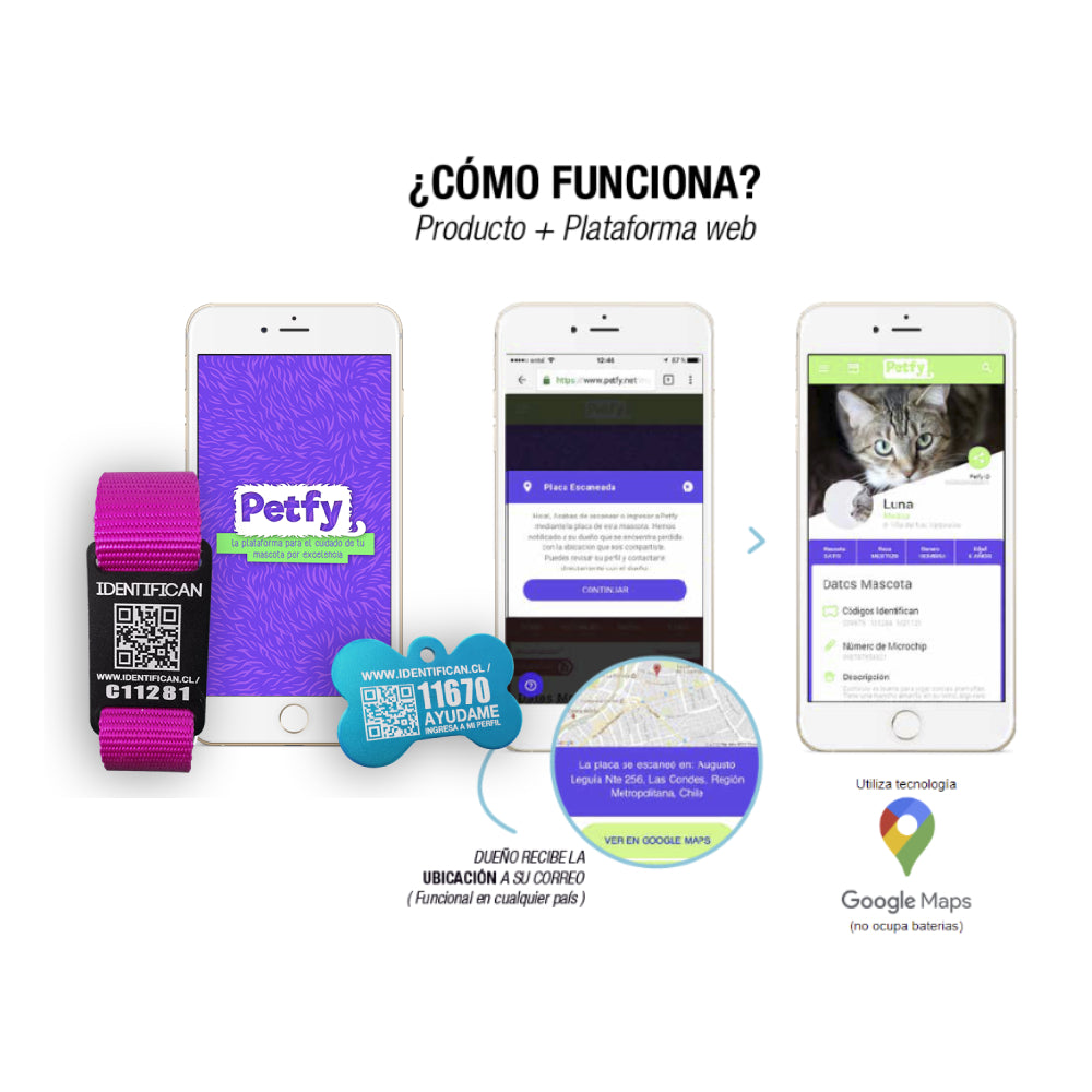 Caja Mix de Collares Grandes Petfy ID