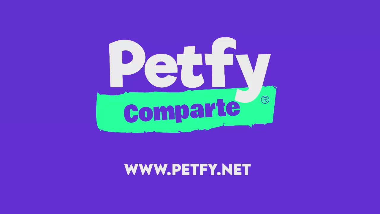 Collar Chico Petfy ID  Negro
