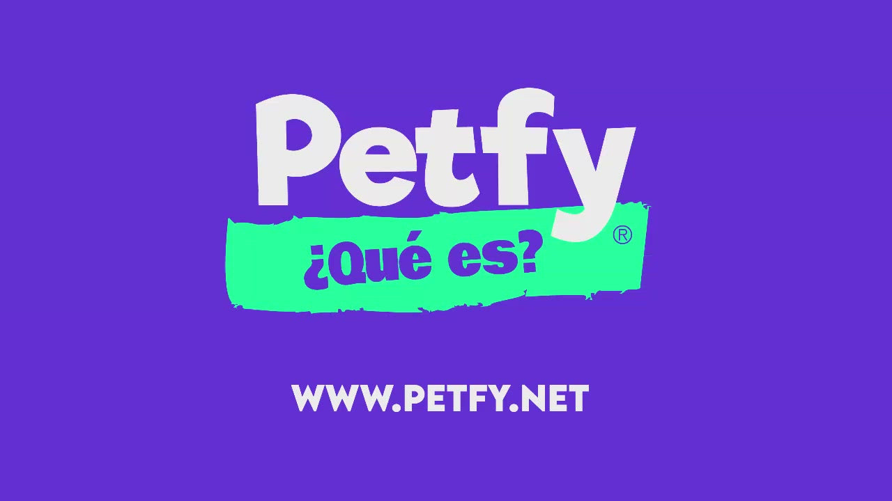Collar Chico Petfy ID  Negro