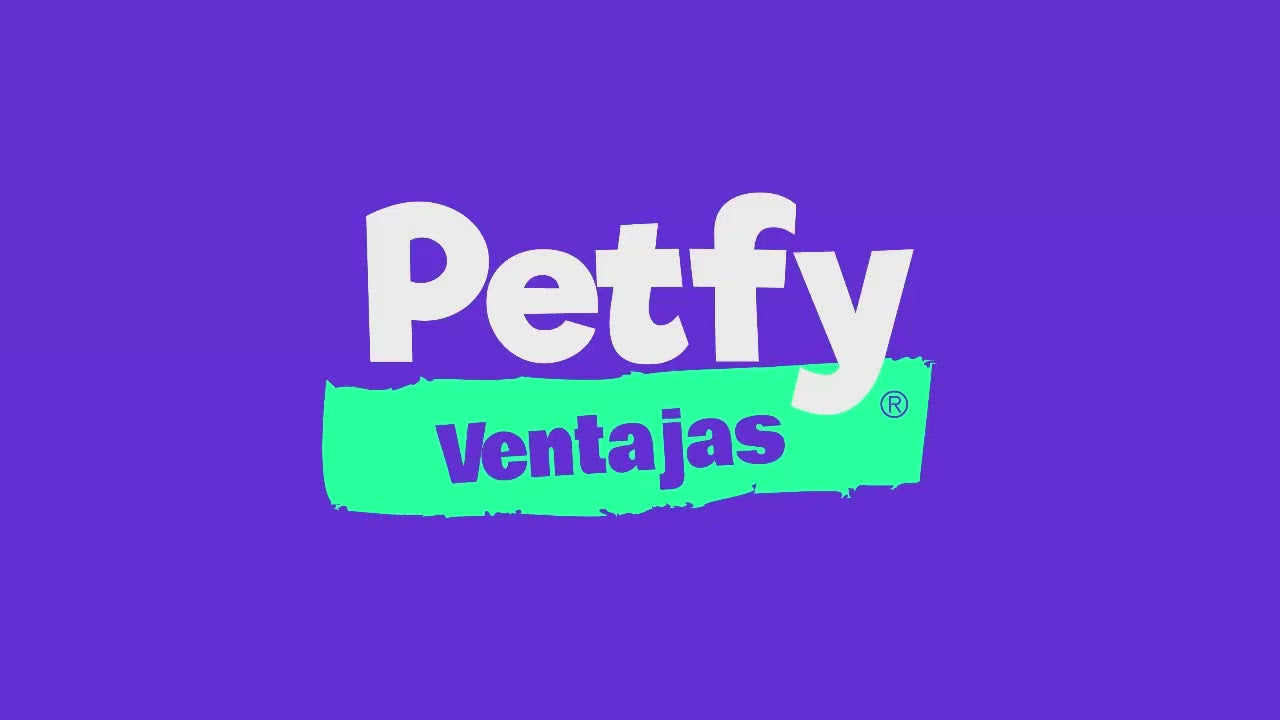 Collar Chico Petfy ID  Negro