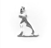 Colgante de Plata - Perro y Gato