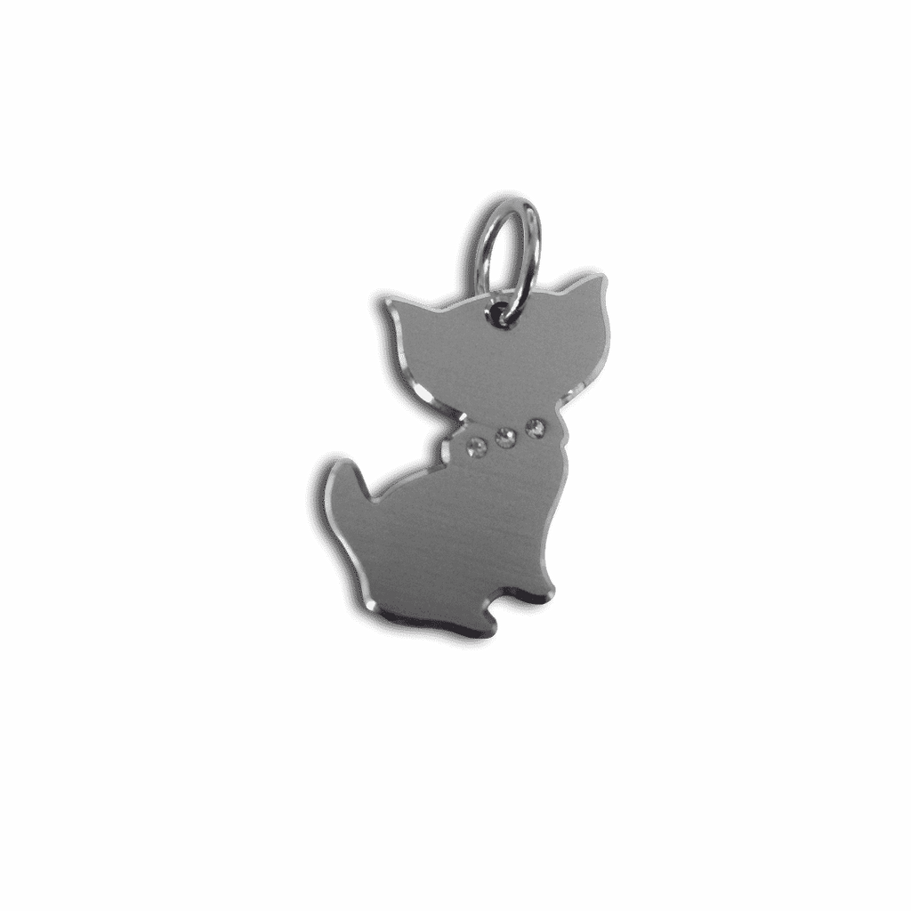 Gato Aluminio - Tienda Petfy