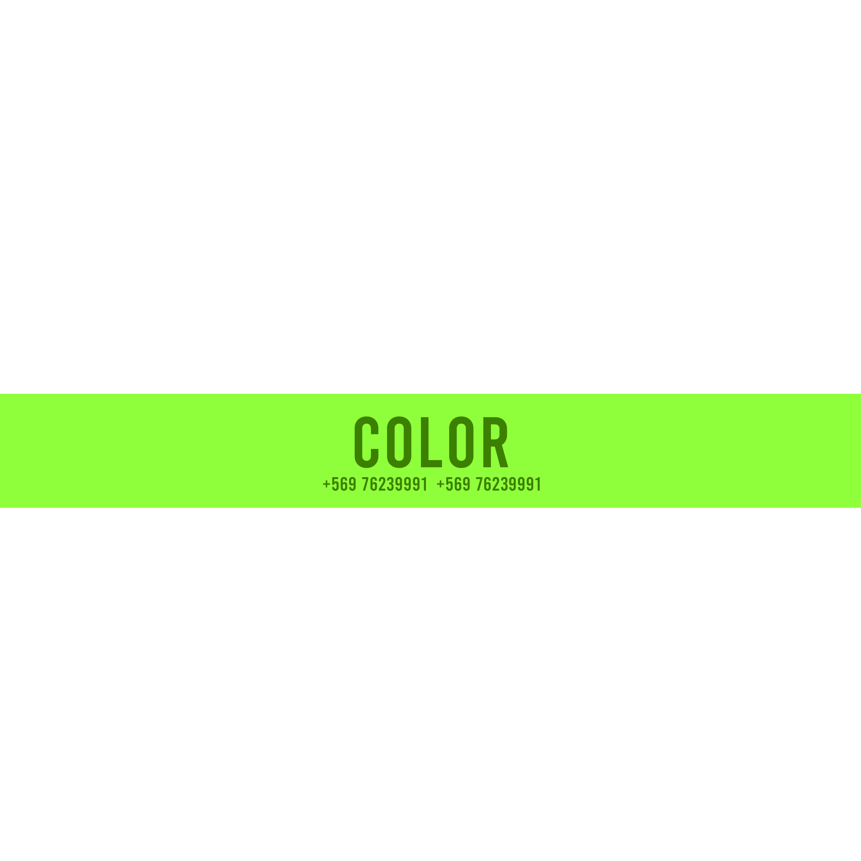 Collar Petlover - Color