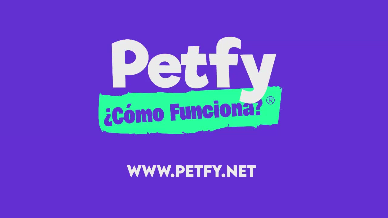 Collar Chico Petfy ID Celeste