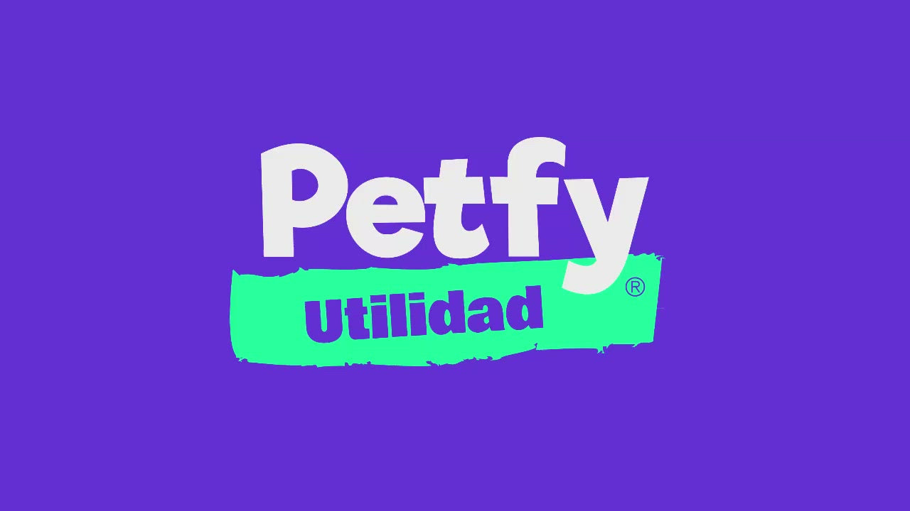 Collar Chico Petfy ID Celeste