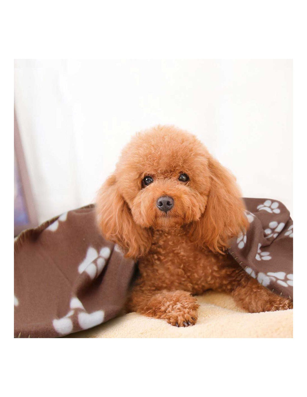 Manta Polar Nunbell 60x90cm